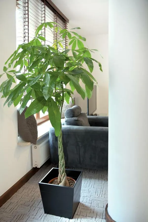 Szucha Apartments Warsaw Poland